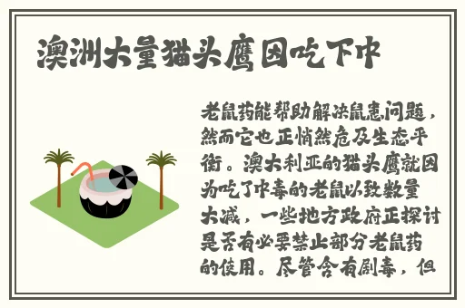 丰年经继拇4的机能量发展